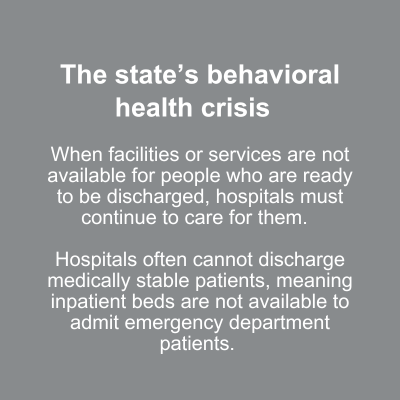 The State's Behavioral Health Crisis